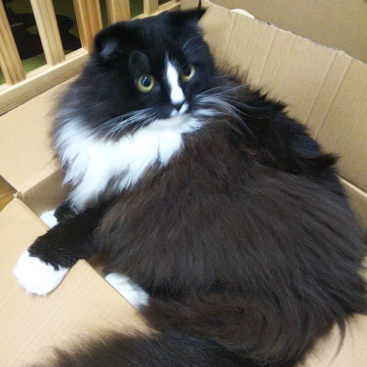 Bb8b7dfc f6fe 4788 b69a fc7976ad1994 1663939472031