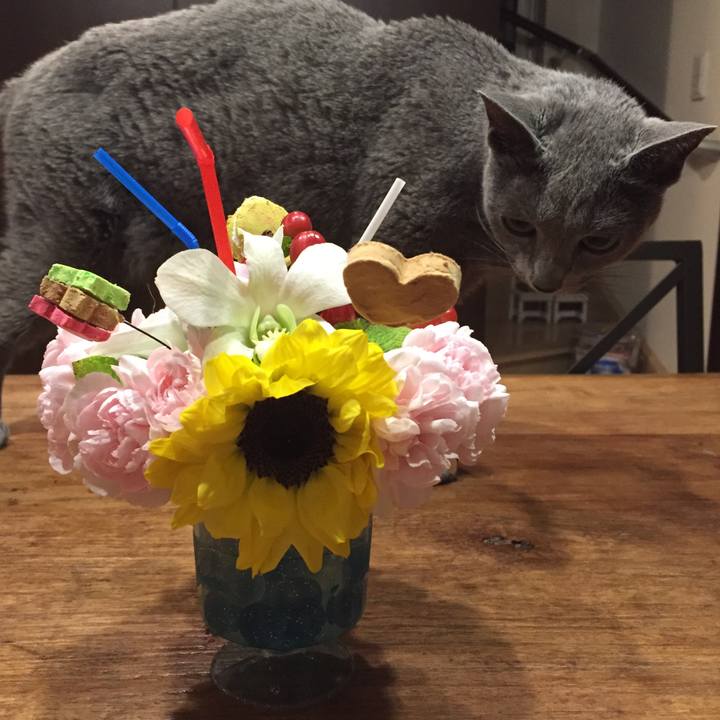 Bb8bd63d abe4 4a59 bff5 5c3ad2e7b05e 1532388255822