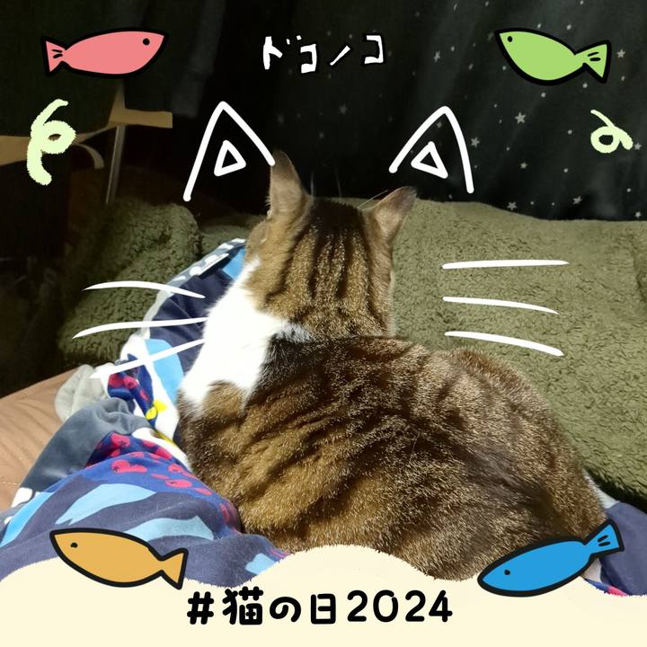 Bb8c0b06 be98 4f05 9284 30ffffd70b2b 1708605485975