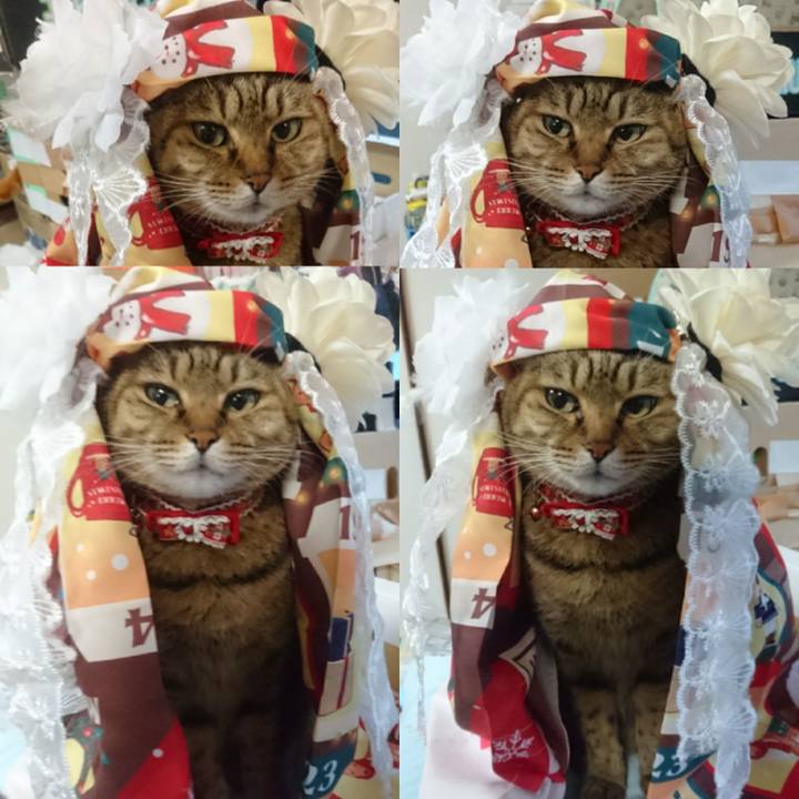 Bb8c3a94 f742 4667 8dbb c61c644ef971 1768435436828