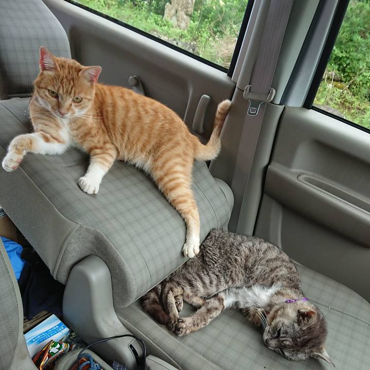 Bb8c5f28 96ca 46d4 8b9e 2f1c40508027 1593915052428