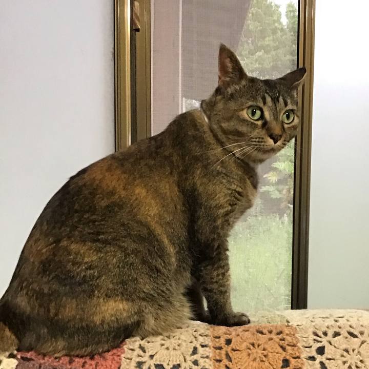 Bb8c897a 318c 46a4 a4e9 5d3c7fcad8f2 1747820658187