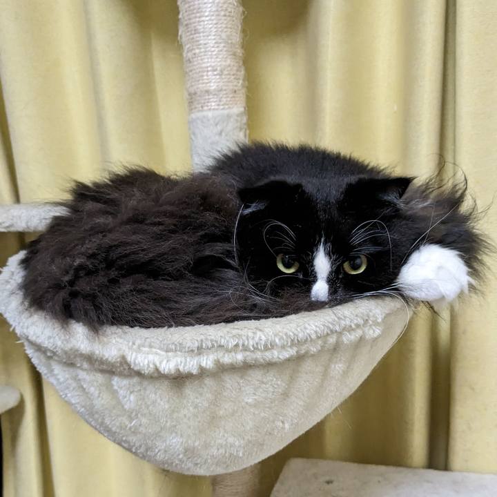 Bb8c8ae8 58d8 4135 b089 77856dafac51 1697373627716