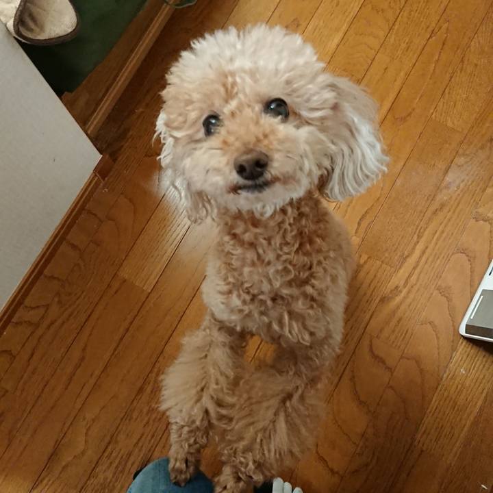 Bb8c96c0 fa5e 4f85 b838 57e2b2e4b93b 1583105292558