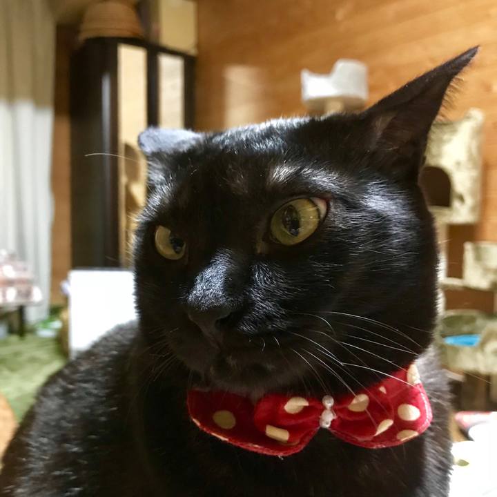 Bb8cb51c 43b1 45c0 92ce 467fab707bd0 1519129322535