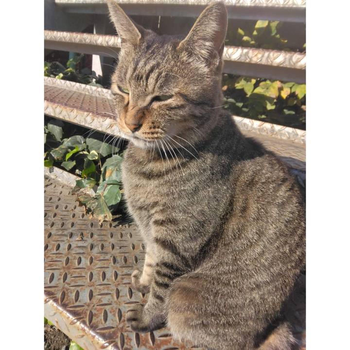 Bb8cf396 ce89 4104 b275 9353470effcf 1667008163901