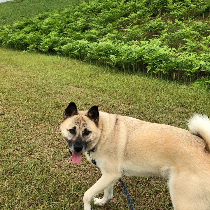 Bb8d0eae 202c 46e5 b793 a9017f3d4710 1602933615248