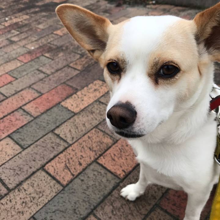 Bb8d12d4 e016 4126 853b 4c83b026b8dc 1578281396047