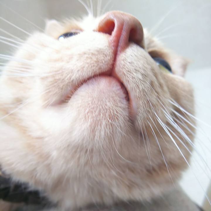 Bb8d298a 112c 4b89 b8f7 0213bca69816 1641614213805