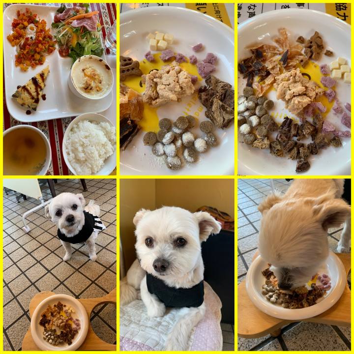 Bb8d4f86 5b25 4163 bc1c 7f80643a8f97 1618030016949