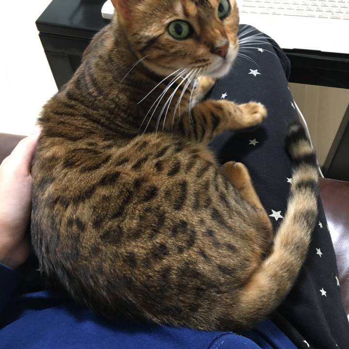 Bb8d5a08 3633 4d71 9283 51c34a6157b4 1510140836681