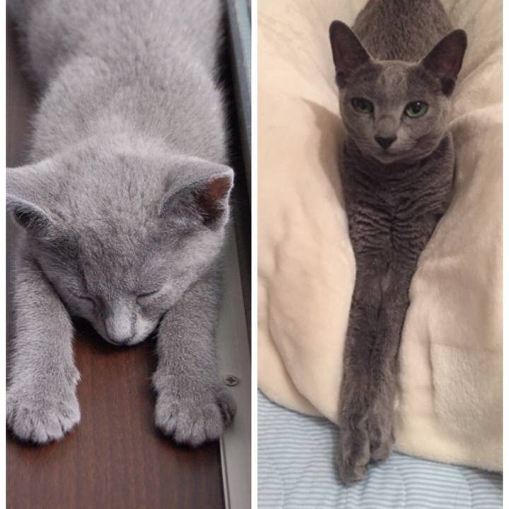 Bb8da395 f8a1 4c5a a296 793934ae849e 1531013534460