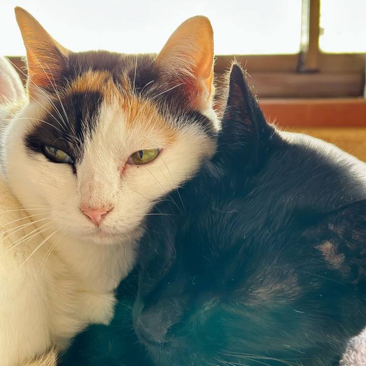 Bb8da7b9 23d6 4ea6 8453 1749e66c048a 1700876307916