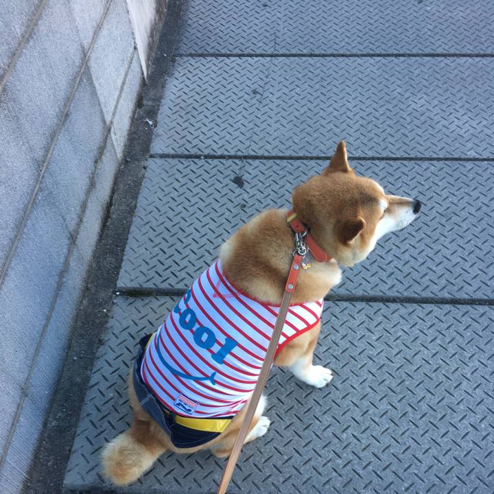 Bb8db734 8f46 43bc bb3c d53545a4b463 1564961952524