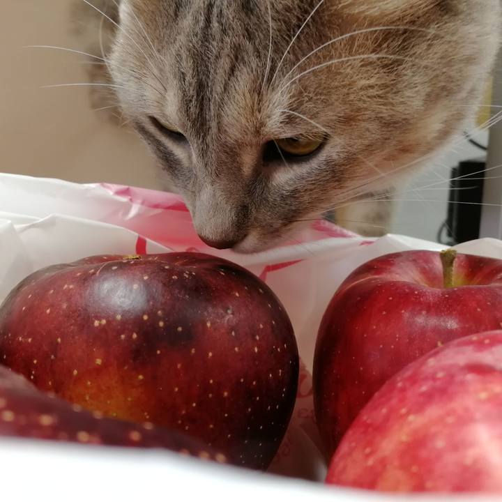 Bb8dbfe9 e335 47c0 8aa9 01bb7210128f 1539255649209