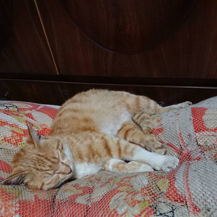 Bb8dd251 5295 4aa8 b34a 04c4e85ca024 1556970339385