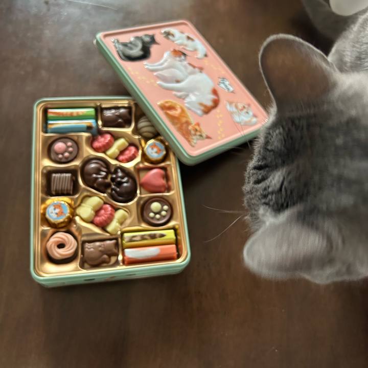 Bb8e0148 c97f 4698 9860 1a3430abae9e 1708079211715