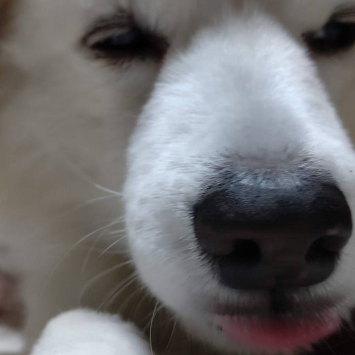 Bb8e1e77 f5ab 48b1 a131 967d9237384d 1643663901948