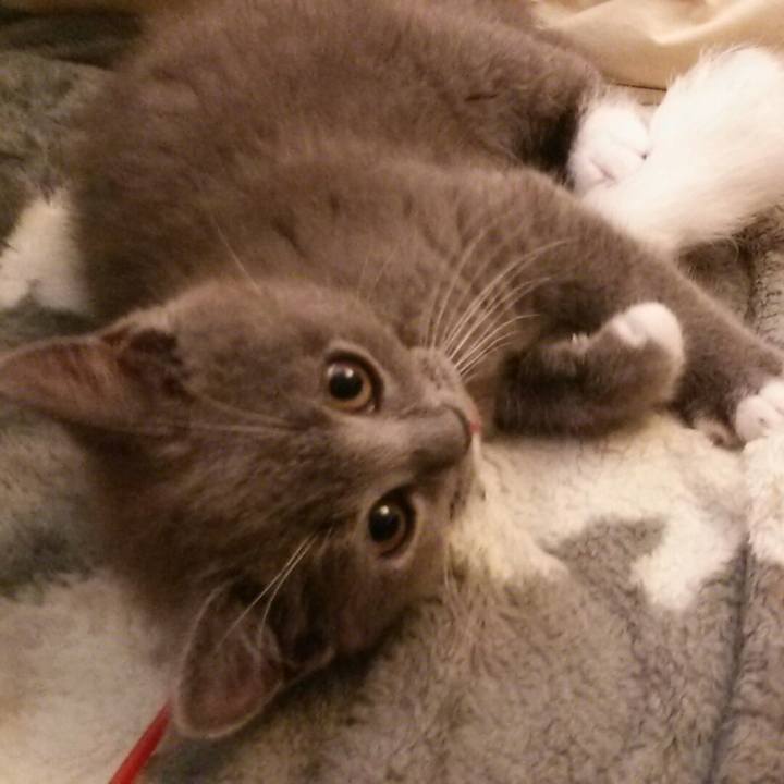 Bb8e45f6 ba6c 4de2 ab37 5ee25bfe1d12 1531025755938