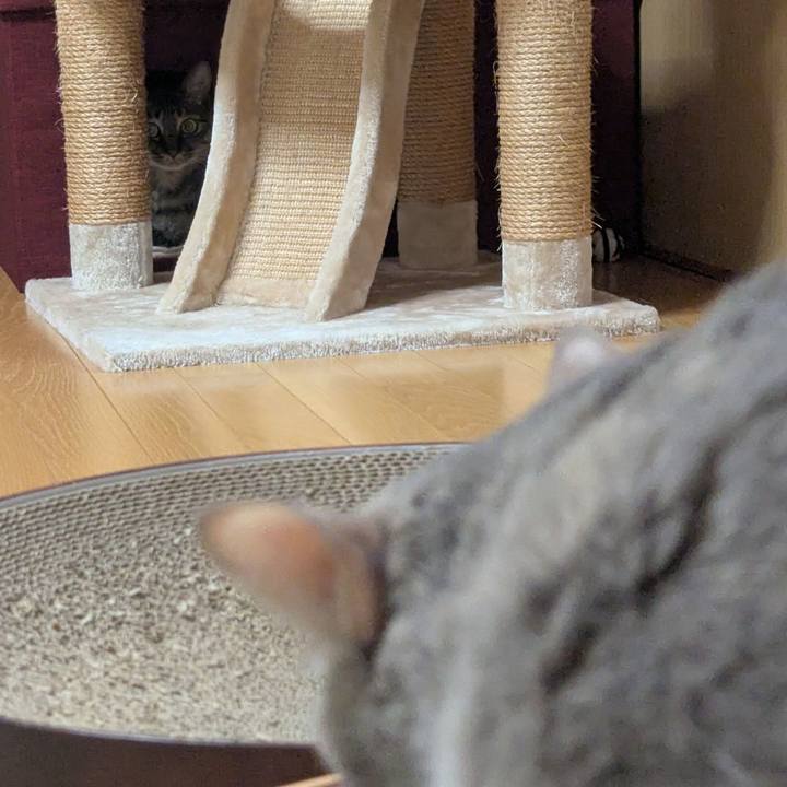 Bb8e5d9d 723f 4f2e 828a acad9165261e 1738543988156