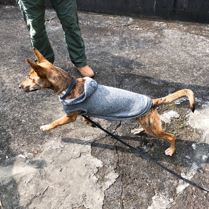 Bb8e91cb 29c4 4255 9267 22195c115bff 1578142483710