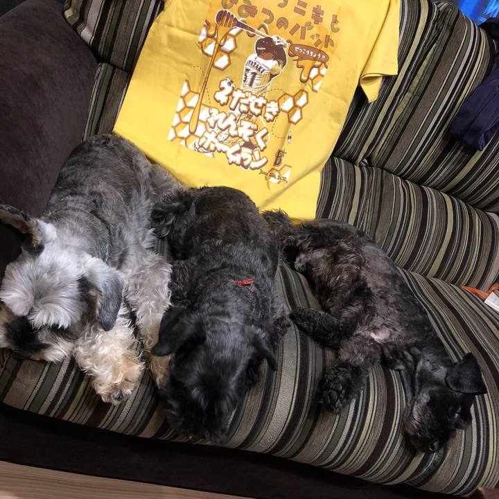 Bb8e9f12 72b4 441c 9060 575a4e73b510 1532436091688