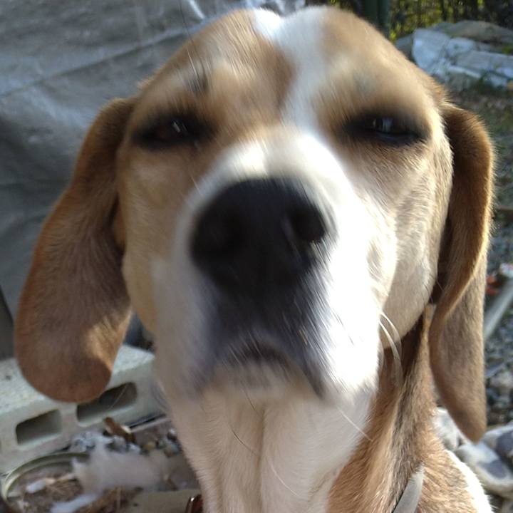 Bb8ecafd 1ca5 4d71 9b2c 40c4d1e98a48 1637845308198