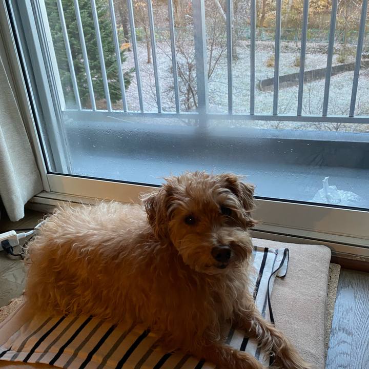 Bb8f1318 0a41 48b9 93b7 e7cc07fb32aa 1699652305364