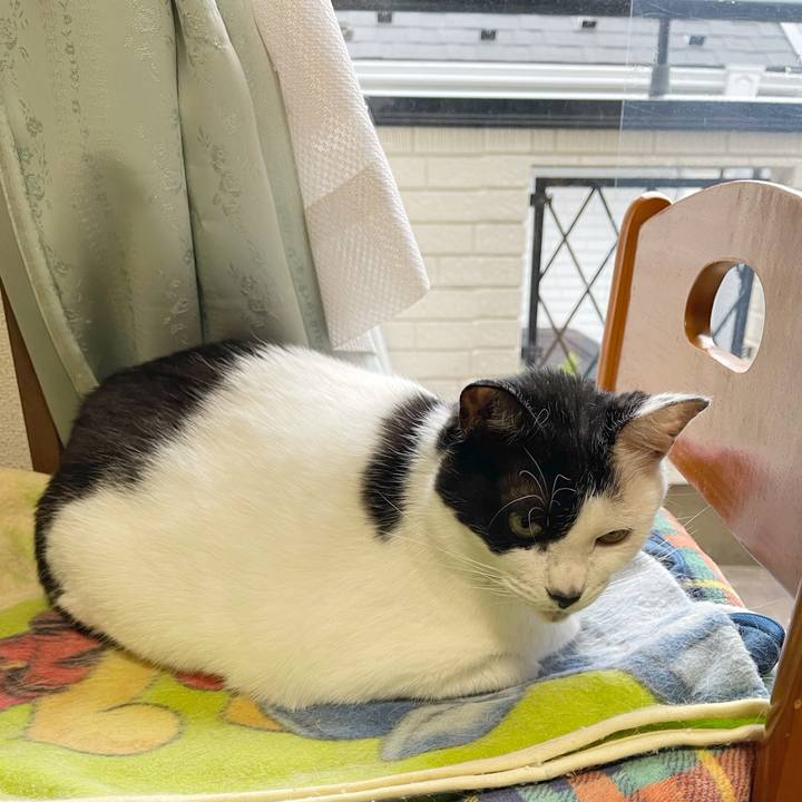 Bb8f5616 79d4 4040 a4db d6a40b84178d 1762987597192