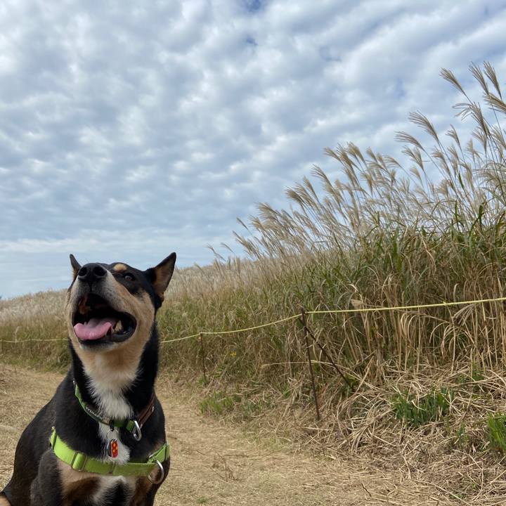 Bb8f63c4 8087 4545 9bee f8424f4a96f7 1603876715756