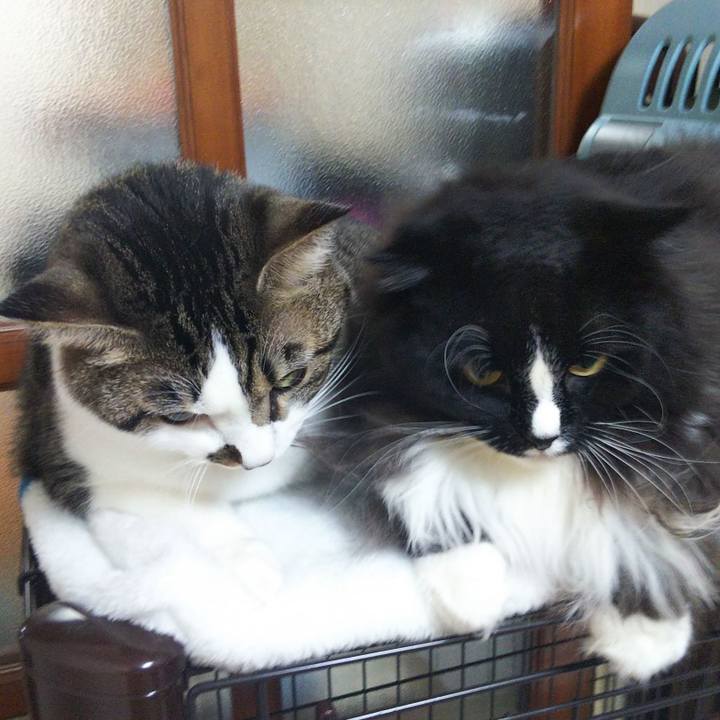 Bb8f8d28 7025 4180 98a4 6289beb67fe4 1665150958718