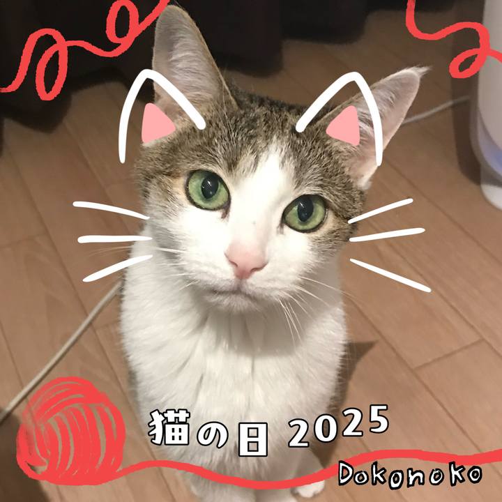 Bb8fa1d7 1a7c 47a8 a828 c54226640a93 1740176763568