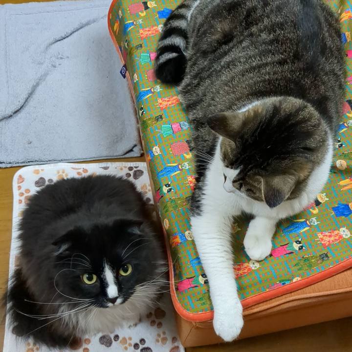 Bb8fe4a2 ce94 40be 86dd 602515c1716f 1685447250979