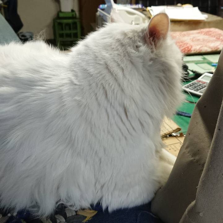 Bb900fd4 f1f6 443b 8727 19344ca5a7a9 1547159773434