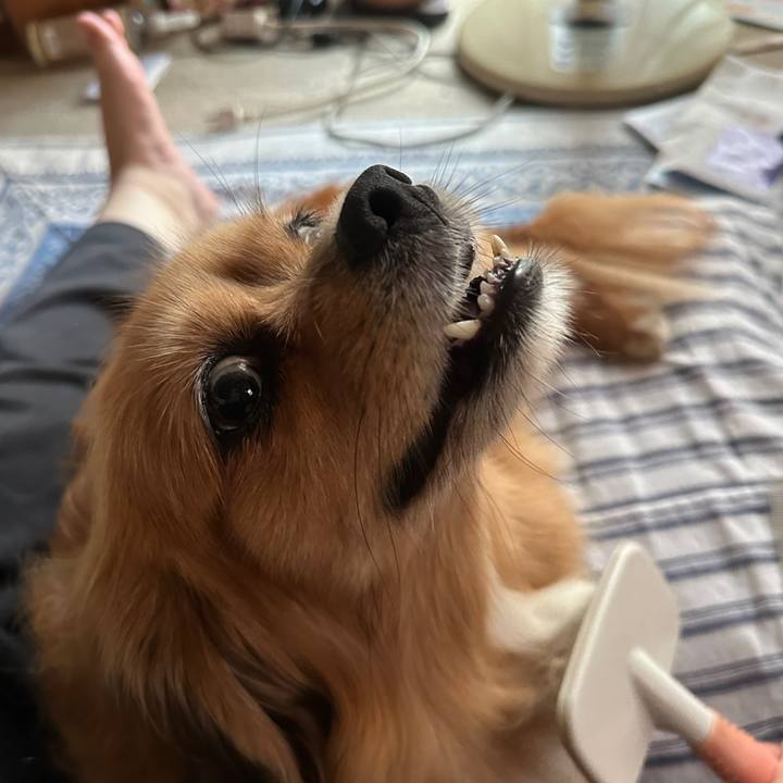 Bb901af3 67e6 4d76 9cd6 42acfe047c0a 1692651954068