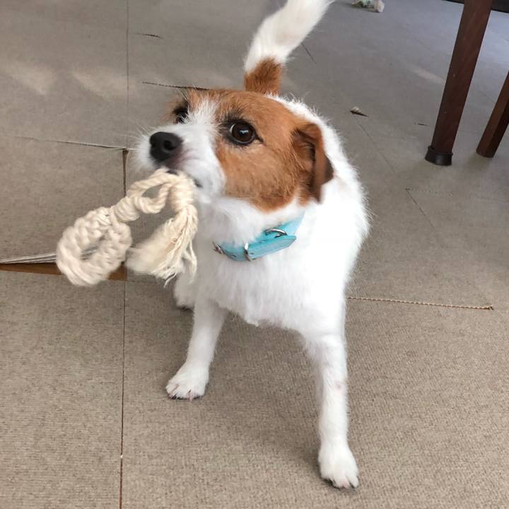 Bb902aec 9125 4fba 88a4 e411dd1d9f18 1532121488155