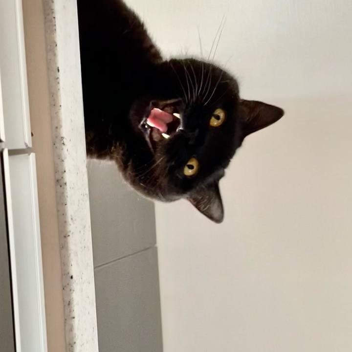 Bb909312 96a5 4323 a6c5 54e90b9a9966 1694265752216