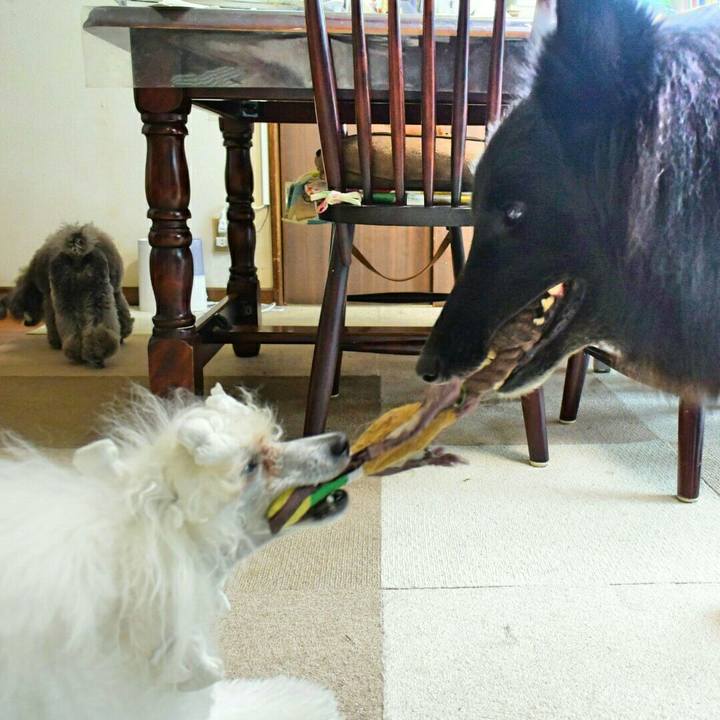 Bb9093cc 00a8 4011 aebb bb31c72b3752 1520473773220