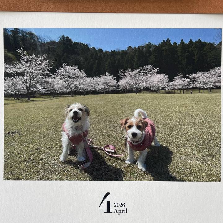 Bb909632 f585 4042 a058 1972ade7aeee 1775306999491