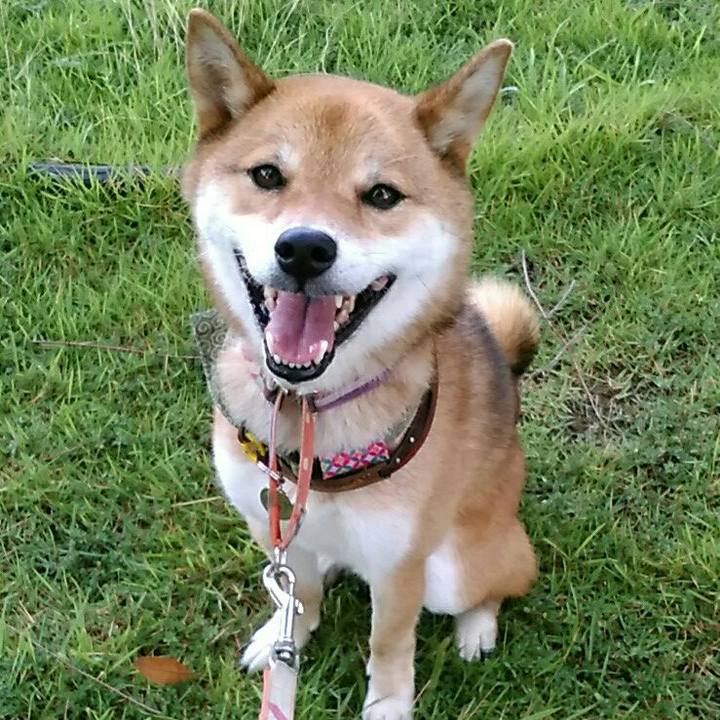 Bb90ccaf 9adf 4ea3 b0d3 d030f571a9ec 1534001120159