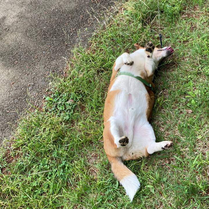 Bb90ef15 1227 4e37 ad72 b22828364acf 1749690293206