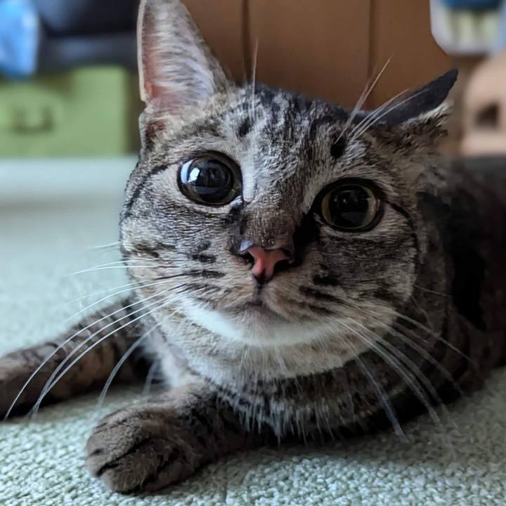 Bb90fb91 3741 44d1 8271 c3338a3096d6 1719207528167