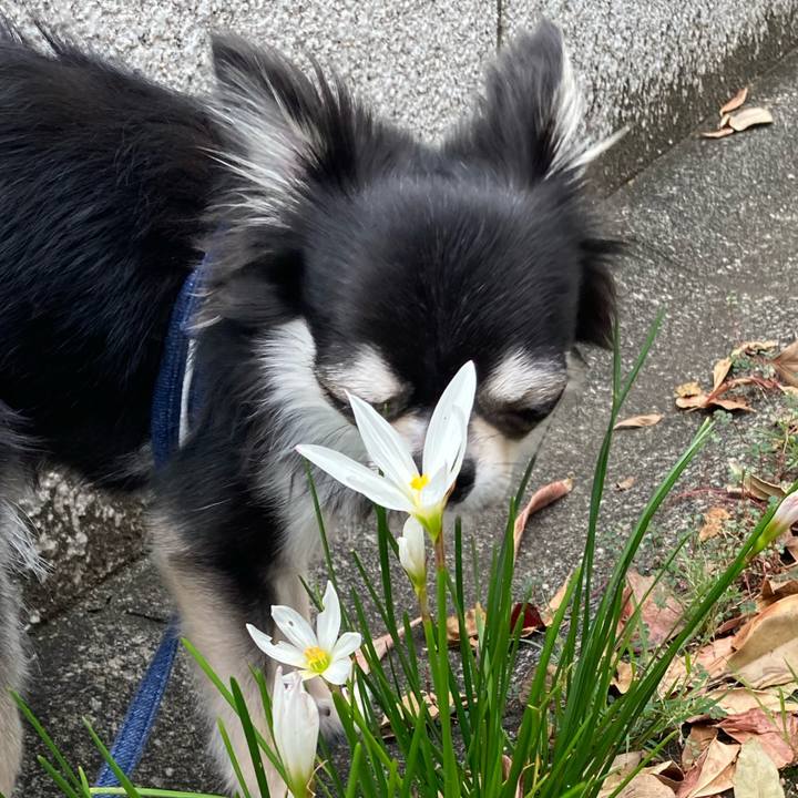 Bb910846 103c 46b0 88a3 c6307913d6eb 1632554384098