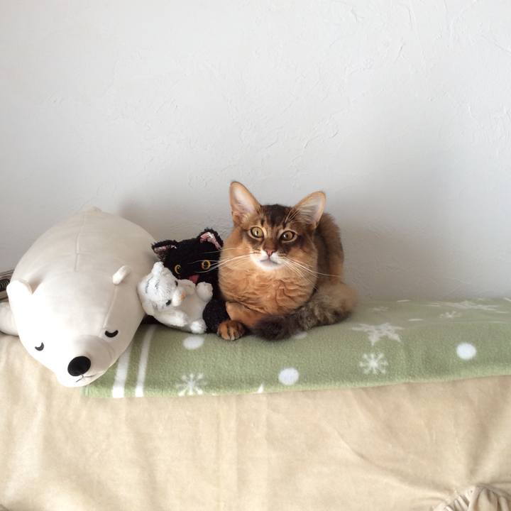 Bb912cdd 5b67 49fa bcea 12f82f645819 1582242308061