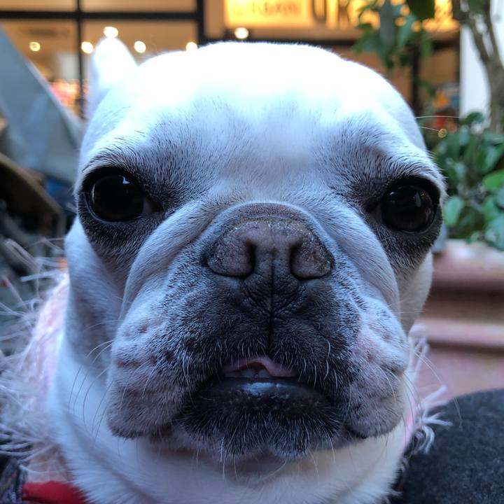 Bb9136ab 00e6 4d0f 8bf5 5a324aa1f372 1544869716694