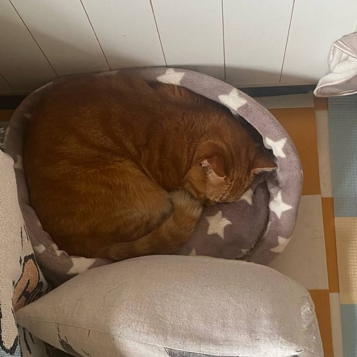 Bb916788 ac4d 4358 92c9 2f82a29131ec 1719624702984