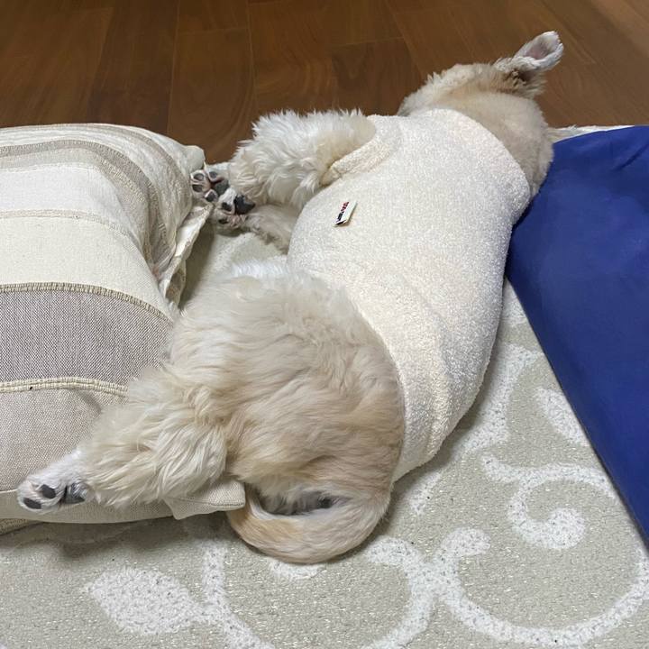 Bb91d18d 4d29 4d3a 92c7 1904d103a98d 1736568589630