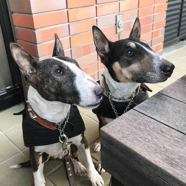 Bb91d3a8 b836 4711 a42b 33b13450d8ab 1515056085241