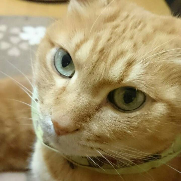 Bb92323d 7893 43c9 8527 120549ce4ae7 1515218852601