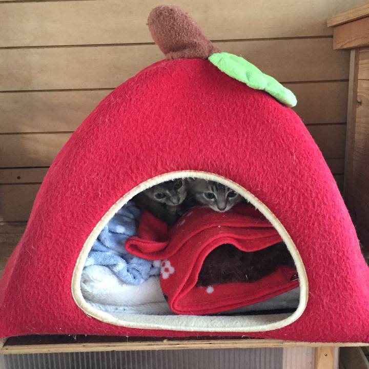 Bb924a42 c580 41bc b9b4 60a94b575673 1573859983429